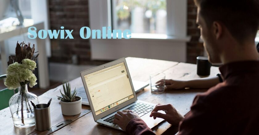 How Sowix Online Perform as Project Management Powerful Tool