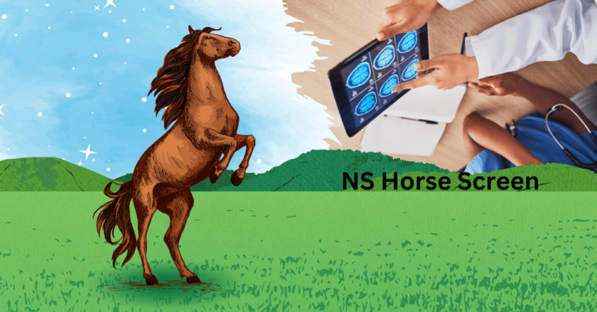 How NSHorseScreen Optimizes Horse Health