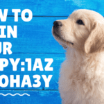 How to Raise Puppy:1azdln0ha3y Tips for a Happy, Healthy Dog