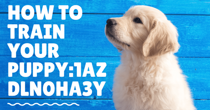 How to Raise Puppy:1azdln0ha3y Tips for a Happy, Healthy Dog